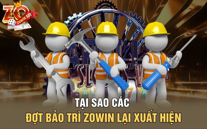 Tại sao các đợt bảo trì Zowin lại xuất hiện?