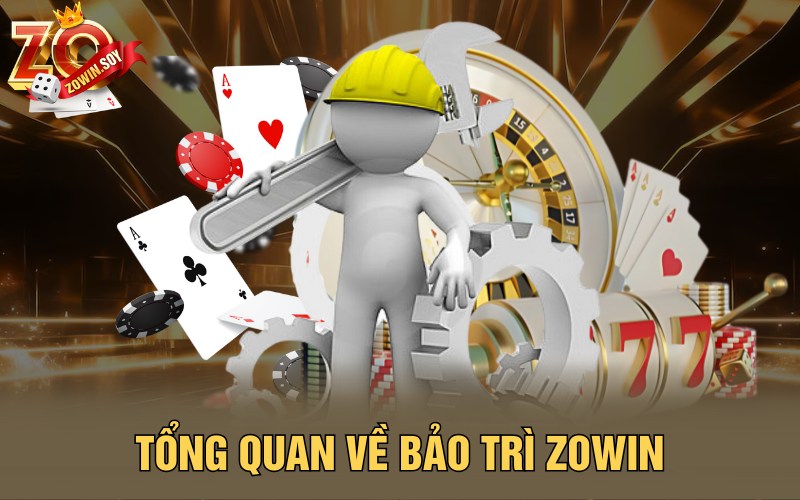 Tổng quan về bảo trì Zowin
